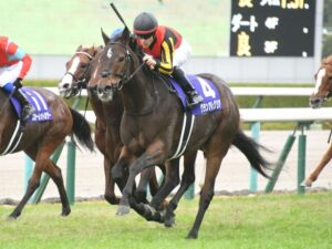 1番好きなスプリンターズSの勝ち馬