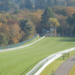 【悲報】イギリス競馬が崩壊の危機