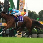 エンブロイダリー、ダスカ以来18年振り4頭目の桜花賞-秋華賞2冠