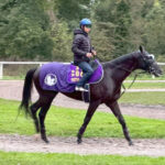 【凱旋門賞】クロワデュノール勝てる?勝てない?