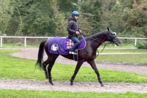 【凱旋門賞】クロワデュノール勝てる?勝てない?
