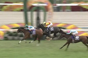 【秋華賞】桜花賞馬エンブロイダリーが2冠達成！1番人気カムニャックは16着