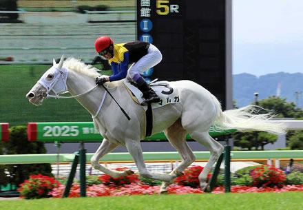 【アルテミスS】マルガとはなんだったのか