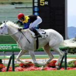 【競馬予想】第14回アルテミスステークス(GⅢ) / 2025