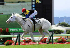 【競馬予想】第14回アルテミスステークス(GⅢ) / 2025