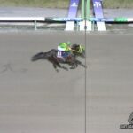 【競馬】南部杯は川田騎乗のウィルソンテソーロがV