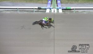 【競馬】南部杯は川田騎乗のウィルソンテソーロがV