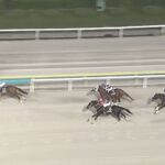 【東京盃2025】結果・動画/ヤマニンチェルキが抜け出し快勝