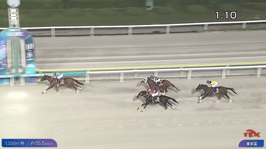 【東京盃2025】結果・動画/ヤマニンチェルキが抜け出し快勝