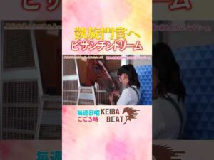 #競馬 #凱旋門賞 #ビザンチンドリーム #菅井友香