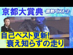「中2週の疲れなし!」アドマイヤテラ、ショウナンラプンタ、サンライズアース・・・競馬エイト・高橋賢司トラックマンの調教解説<京都大賞典(GⅡ)>