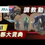 【調教動画】2025年 京都大賞典|JRA公式