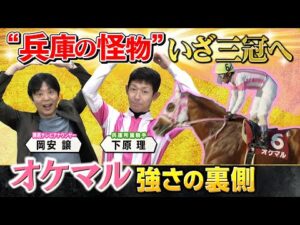 【“怪物”オケマル ２４年ぶり兵庫三冠馬へ】史上初！無敗での三冠制覇を目指すオケマル　強さの裏側を主戦騎手が激白