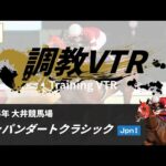 調教VTR|2025年 ジャパンダートクラシック JpnI|NAR公式