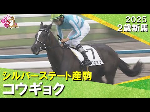 シルバーステート産駒コウギョクが逃げ切り勝ち！昆調教師「オークス、秋華賞のどちらかで」2025年10月5日(日)２歳新馬　京都芝1800m　実況：川島壮雄【カンテレ公式】