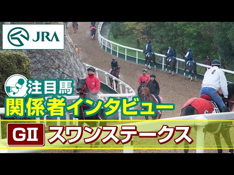 【注目馬 関係者インタビュー】2025年 スワンステークス|JRA公式