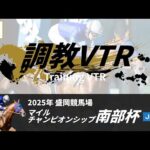 調教VTR|2025年 マイルチャンピオンシップ南部杯 JpnI|NAR公式