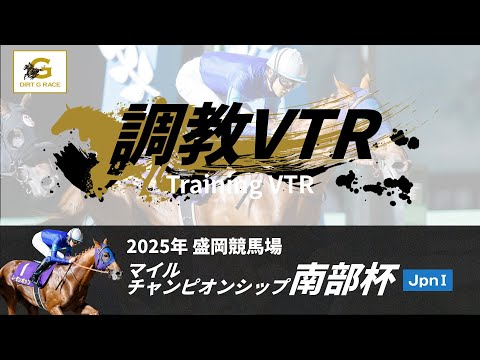 調教VTR｜2025年 マイルチャンピオンシップ南部杯 JpnI｜NAR公式