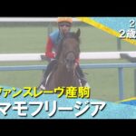 田口貫太騎手「強い競馬でした」タマモフリージアが3馬身半差の完勝! 2025年10月12日(日)2歳新馬 京都ダート1800m 実況:岡安譲【カンテレ公式】