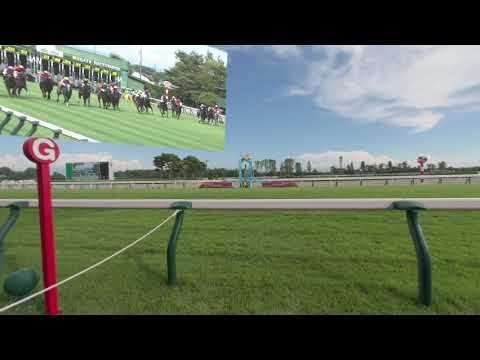 【180度VR動画】2025アイビスサマーダッシュ(GⅢ)パドック・レース映像