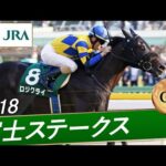2018年 富士ステークス(GⅢ) | ロジクライ | JRA公式