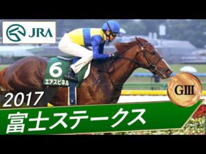 2017年 富士ステークス（GⅢ） | エアスピネル | JRA公式