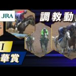 【調教動画】2025年 秋華賞|JRA公式