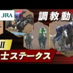 【調教動画】2025年 富士ステークス|JRA公式