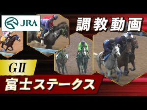【調教動画】2025年 富士ステークス｜JRA公式