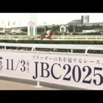 アタック!地方競馬|第342回|JBC直前! 船橋競馬場ガイド|NAR公式
