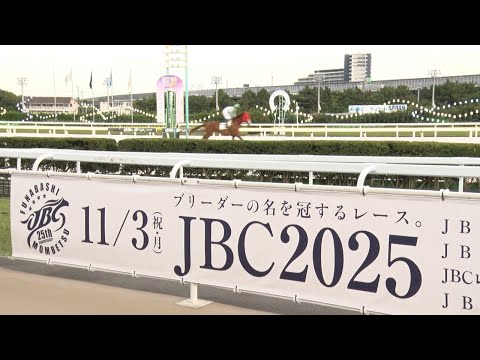 アタック!地方競馬|第342回|JBC直前! 船橋競馬場ガイド|NAR公式