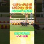 #競馬 #菊花賞 #タイトルホルダー  #横山武史
