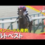 5番人気ミルトベストが2馬身差の快勝!岩田望来騎手「終いは反応してくれた」 2025年10月19日(日)2歳新馬 京都芝1400m 実況:石田一洋【カンテレ公式】
