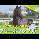 エブリーポッシブルが3馬身半差の圧勝 !岩田望来騎手「センスのいい競馬」2025年10月18日(土)2歳新馬 京都ダート1400m 実況:川島壮雄【カンテレ公式】
