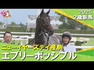 エブリーポッシブルが3馬身半差の圧勝 !岩田望来騎手「センスのいい競馬」2025年10月18日(土)2歳新馬 京都ダート1400m 実況:川島壮雄【カンテレ公式】