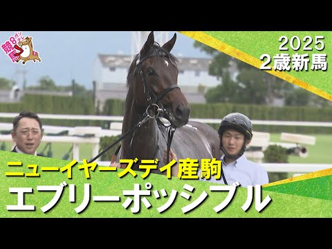 エブリーポッシブルが3馬身半差の圧勝 !岩田望来騎手「センスのいい競馬」2025年10月18日(土)2歳新馬 京都ダート1400m 実況:川島壮雄【カンテレ公式】