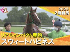 スウィートハピネスが上がり最速で差し切りデビュー勝ち !高杉騎手「まだまだ良くなる」2025年10月18日(土)2歳新馬 京都芝1600m 実況:石田一洋【カンテレ公式】