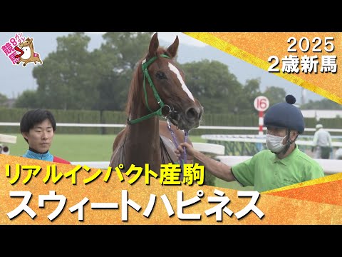 スウィートハピネスが上がり最速で差し切りデビュー勝ち !高杉騎手「まだまだ良くなる」2025年10月18日(土)2歳新馬 京都芝1600m 実況:石田一洋【カンテレ公式】