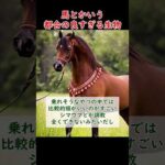 【競馬】馬とかいう都合のいい生き物なんなの #shorts