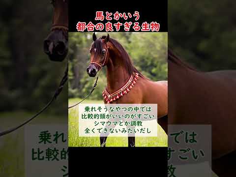 【競馬】馬とかいう都合のいい生き物なんなの #shorts