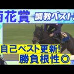 【１６週連続調教診断上位馬が激走中！】エネルジコ、エリキング、ショウヘイ・・・競馬エイト・高橋賢司トラックマンの調教解説＜菊花賞(ＧⅠ)＞