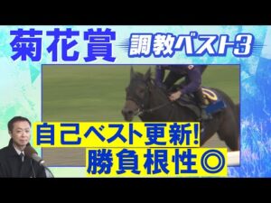 【１６週連続調教診断上位馬が激走中！】エネルジコ、エリキング、ショウヘイ・・・競馬エイト・高橋賢司トラックマンの調教解説＜菊花賞(ＧⅠ)＞