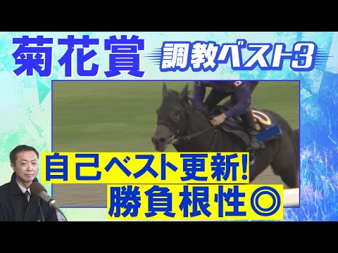 【16週連続調教診断上位馬が激走中!】エネルジコ、エリキング、ショウヘイ・・・競馬エイト・高橋賢司トラックマンの調教解説<菊花賞(GⅠ)>