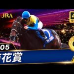 【4Kリマスター】2005年 菊花賞(GⅠ) | ディープインパクト | JRA公式