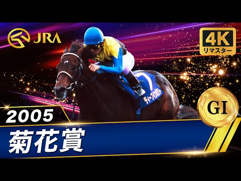 【4Kリマスター】2005年 菊花賞(GⅠ) | ディープインパクト | JRA公式