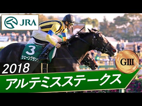 2018年 アルテミスステークス(GⅢ) | シェーングランツ | JRA公式