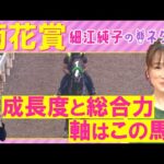 「馬がすごく良くなってる!」エネルジコ、エリキング、ショウヘイ・・・菊花賞(GⅠ)を元ジョッキーの細江純子さんが解説!<細江純子のネタ帳>