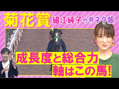 「馬がすごく良くなってる!」エネルジコ、エリキング、ショウヘイ・・・菊花賞(GⅠ)を元ジョッキーの細江純子さんが解説!<細江純子のネタ帳>