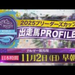 2025ブリーダーズカップ 出走馬紹介 | JRA公式