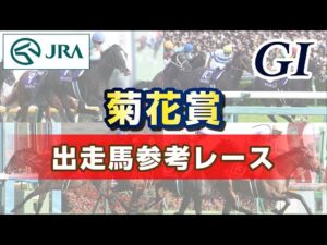 【参考レース】2025年 菊花賞|JRA公式